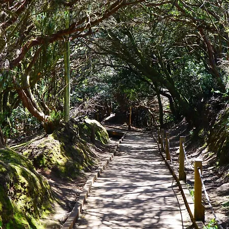 Americas Vinas Arona (Tenerife)