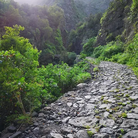 Apartment Americas Vinas